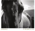 Capercaillie - At The Heart Of It All - Music CD
