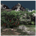 Jiteun - Wonderland - Music CD