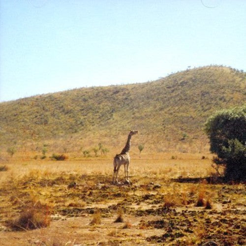 Yozoh - We Are Just Lying Like A Line - Music CD Single