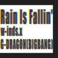 Winds - Rain Is Fallin / Hybrid Dream - Music CD Single