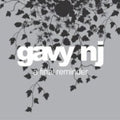 Gavy Nj - Final Reminder - Music CD