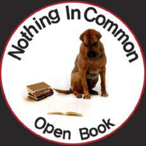 Nothing In Common - Open Book - Music CD