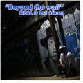 Real D - Beyond The Wall - Music CD