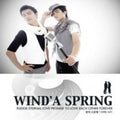 Wind'a Spring - Jab Eul Su Eobs Eossdeon Ibyeol - Music CD