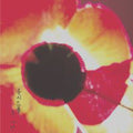 Lucid Fall - Oh Love - Music CD