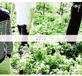 No Reply - Road - Music CD