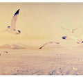 Dear Cloud - Take The Air - Music CD