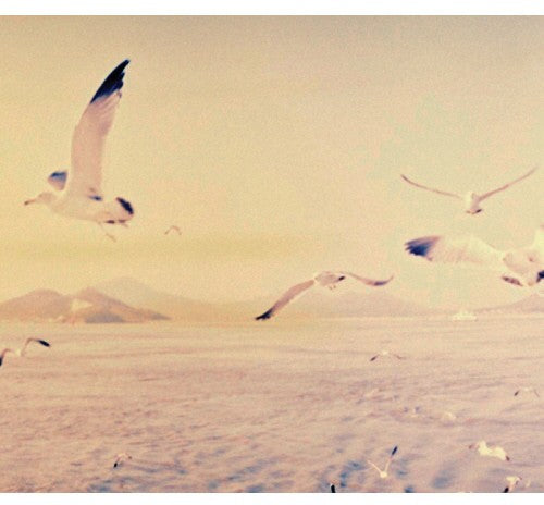 Dear Cloud - Take The Air - Music CD