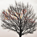 Sunday Sunset - But I Dreamt All Night - Music CD
