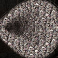 Figure 8 - Thousand Smile - Music CD