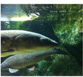 Gwan Cheol,moon - Boot From Memory - Music CD