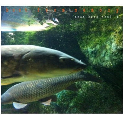 Gwan Cheol,moon - Boot From Memory - Music CD