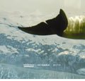 Coreyah - Into The Water - Music CD