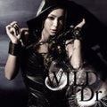 Amuro,namie - Wild / Dr. - Music CD Single