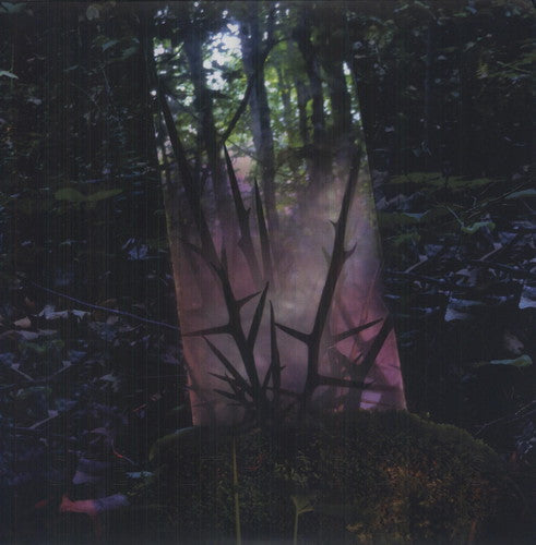 Jensen Sportag - Stealth of Days