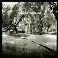 Fehlmann,thomas - Eye / Tree - Vinyl Record