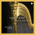 Bach / Sellmann,volker - Variations Brillantes - Music CD
