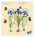 Desmarest / Le Concerti Spiriteul / Niquet - Grands Motets - Music CD