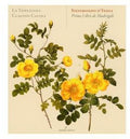 D'india / Venexiana / Cavina - Primo Libro De Madrigali - Music CD