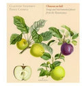 Luth / Ansermet / Cherici - Songs & Instrumental Pieces From The Renaissance - Music CD