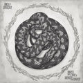 When the Fire Is Dead in the Grate [LP] Vinyl Record