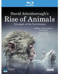 David Attenborough's Rise Of Animals: Triumph Of T - David Attenborough's Rise Of Animals: Triumph Of T - Blu-ray