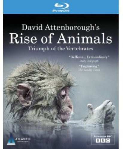 David Attenborough's Rise Of Animals: Triumph Of T - David Attenborough's Rise Of Animals: Triumph Of T - Blu-ray