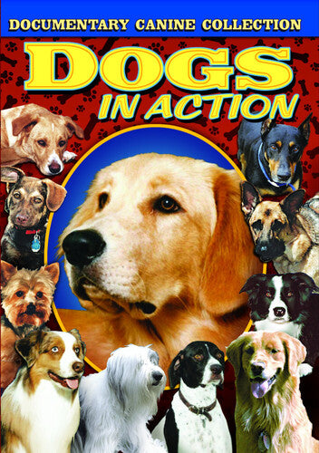 Dogs In Action - Dogs In Action - DVD