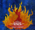 Gipsy Kings - Savor Flamenco - Music CD