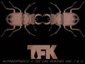 Metamorphosiz, The End Remixes Vol. I and II Music CD