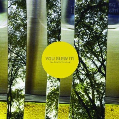 You Blew It - Keep Doing What You're Doing - Music CD