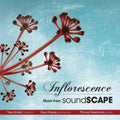 Levine / Arnold / Rosenkranz / Huang - Inflorescence: Music From Soundscape - Music CD