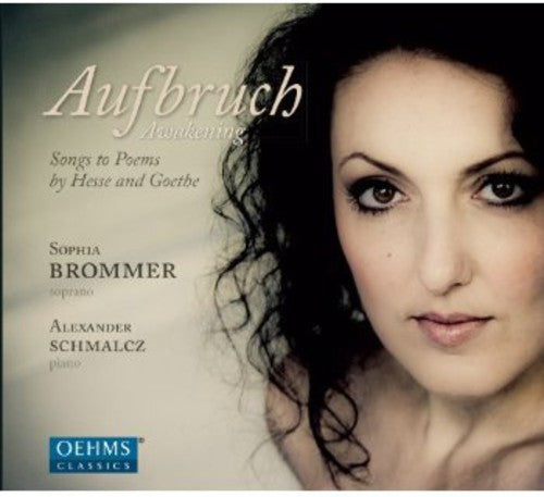 Schumann / Brommer / Schmalcz - Songs To Poems Of Hesse & Goethe - Music CD