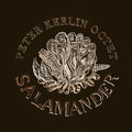 Kerlin,peter - Salamander - Music CD