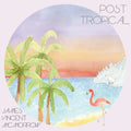 Post Tropical Vinyl Record