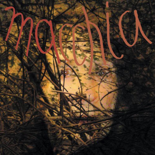 Fuchs / Heemann / Van Luijk - Macchia Forest - Vinyl Record