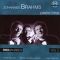 Brahms / Trio Bamberg - Piano Trios 2 3 - Music CD