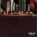 Soran - Prince 2 - Music CD