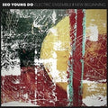 Do Young,seo Trio - Electric Ensemble/new Beginning - Music CD