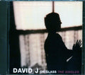 David J - On Glass: The Singles (marked/ltd stock) Music CD
