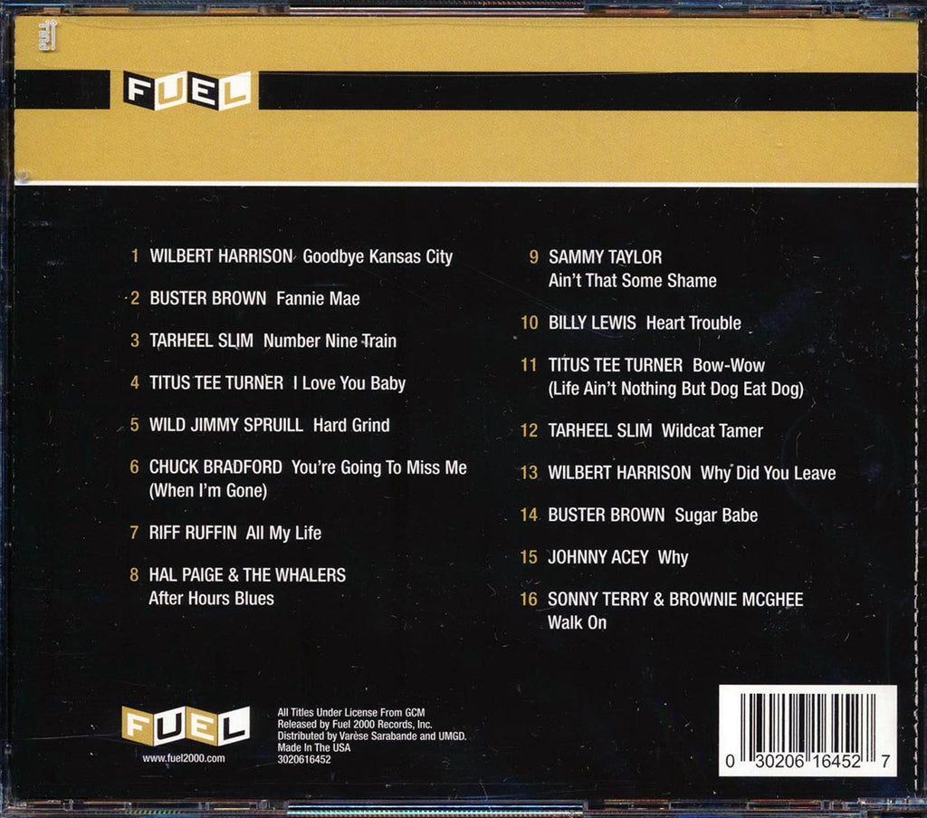 Buster Brown, Billy Lewis, Titus Tee Turner, Etc. - An Introduction To New York Blues Music CD