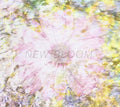 Endless Heights - New Bloom - Music CD