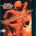 Wallace,shawn Thunder - In Search Of You - Music CD