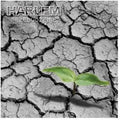 Harlem - Przebudzenie - Music CD