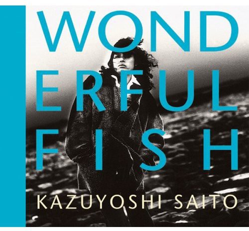 Saito,kazuyoshi - Wonderful Fish - Music CD