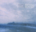 Berendt,raphael - Amphibious - Music CD