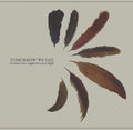 Tomorrow We Sail - For Those Who Caught The Sun In Flight - Music CD