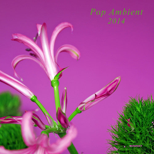 Pop Ambient 2014 / Various - Pop Ambient 2014 / Various - Music CD