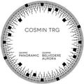 Cosmin Trg - Panoramic - Vinyl Record