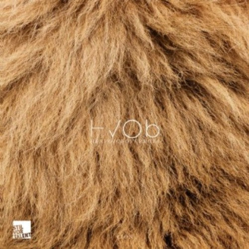 Hvob - Lion - Vinyl Record